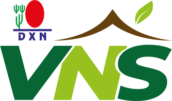 VNS DXN