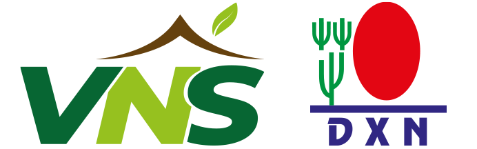VNS DXN